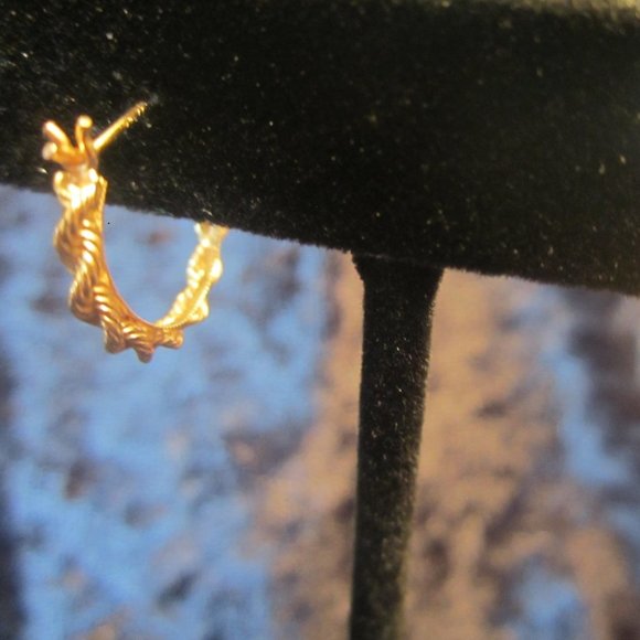 14KT Gold Petite Fixed Rope Loop Earrings